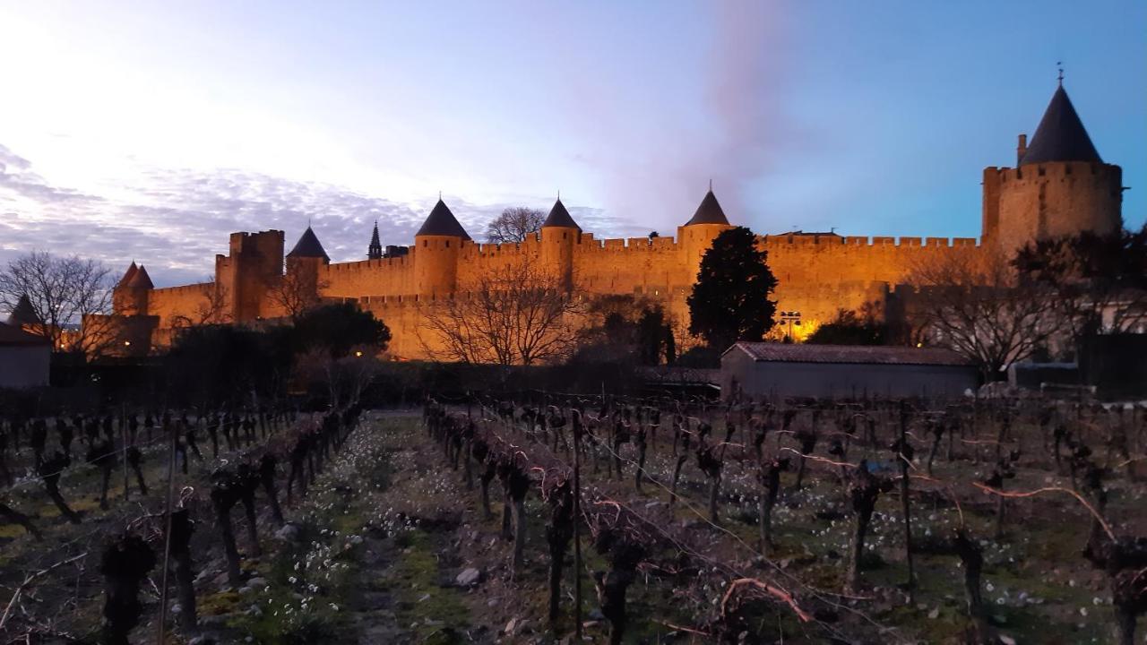Domaine Fontgrande Gite Carcassonne Exteriér fotografie