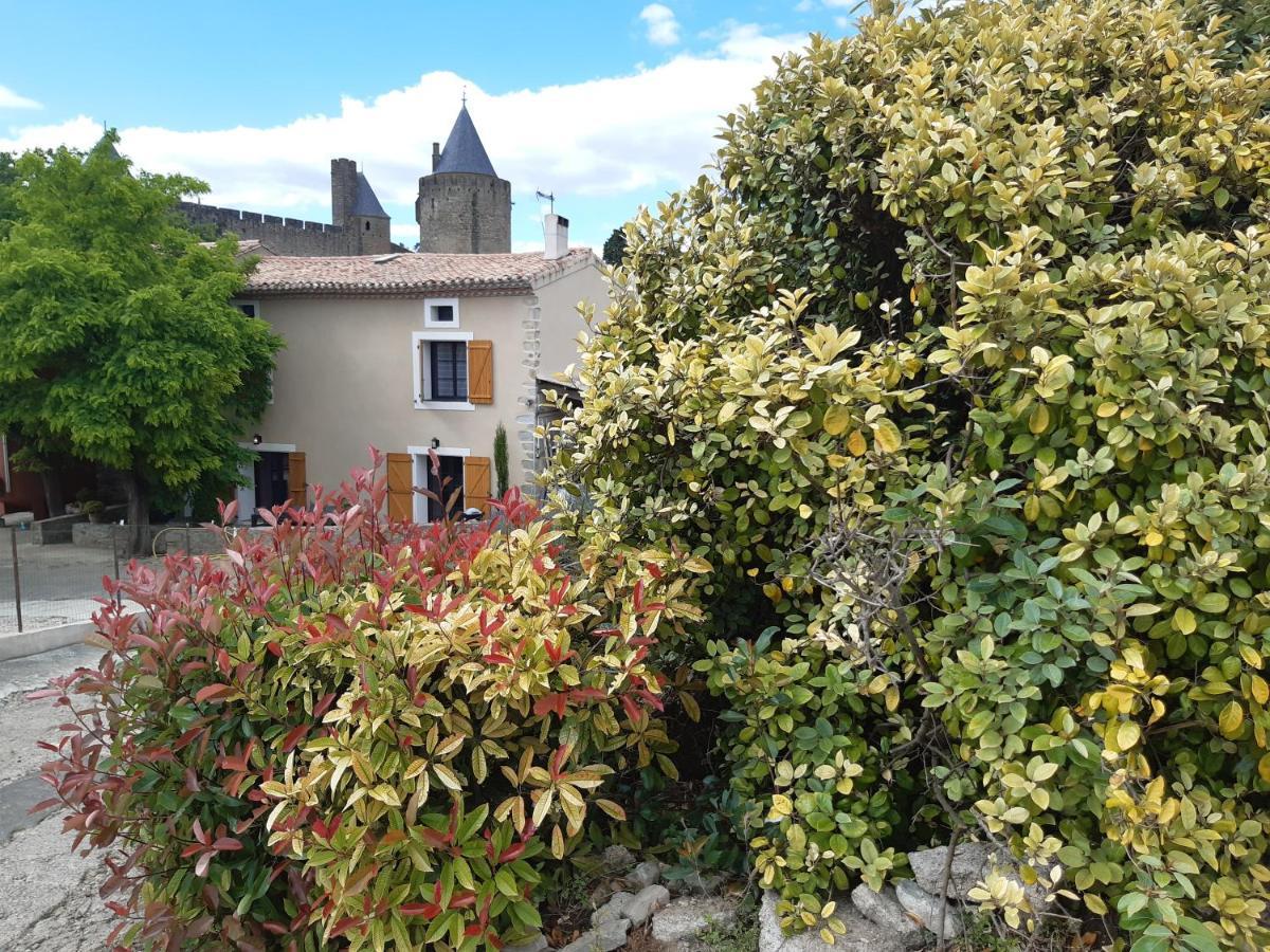 Domaine Fontgrande Gite Carcassonne Exteriér fotografie